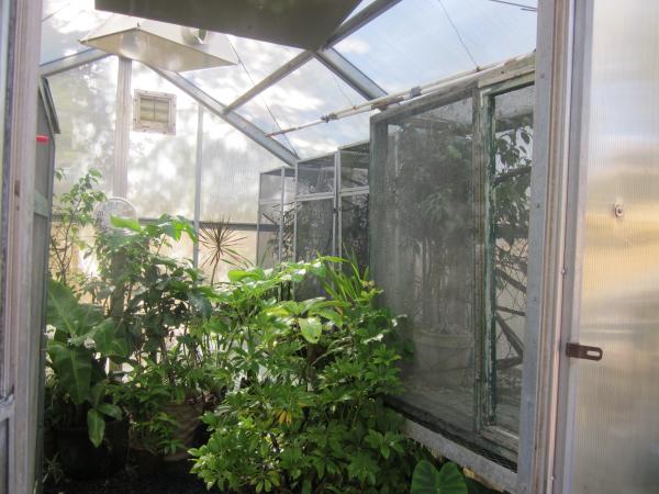 Greenhouse(7)