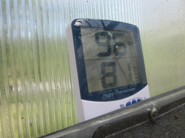 GreenhouseHumidityTemperature.jpeg