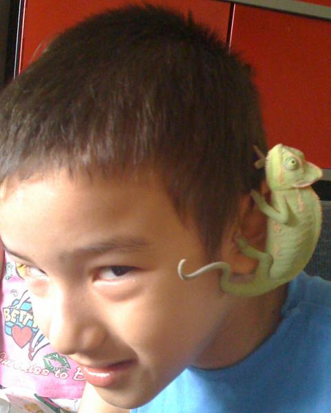 Greeny as a baby. Just after a month with us