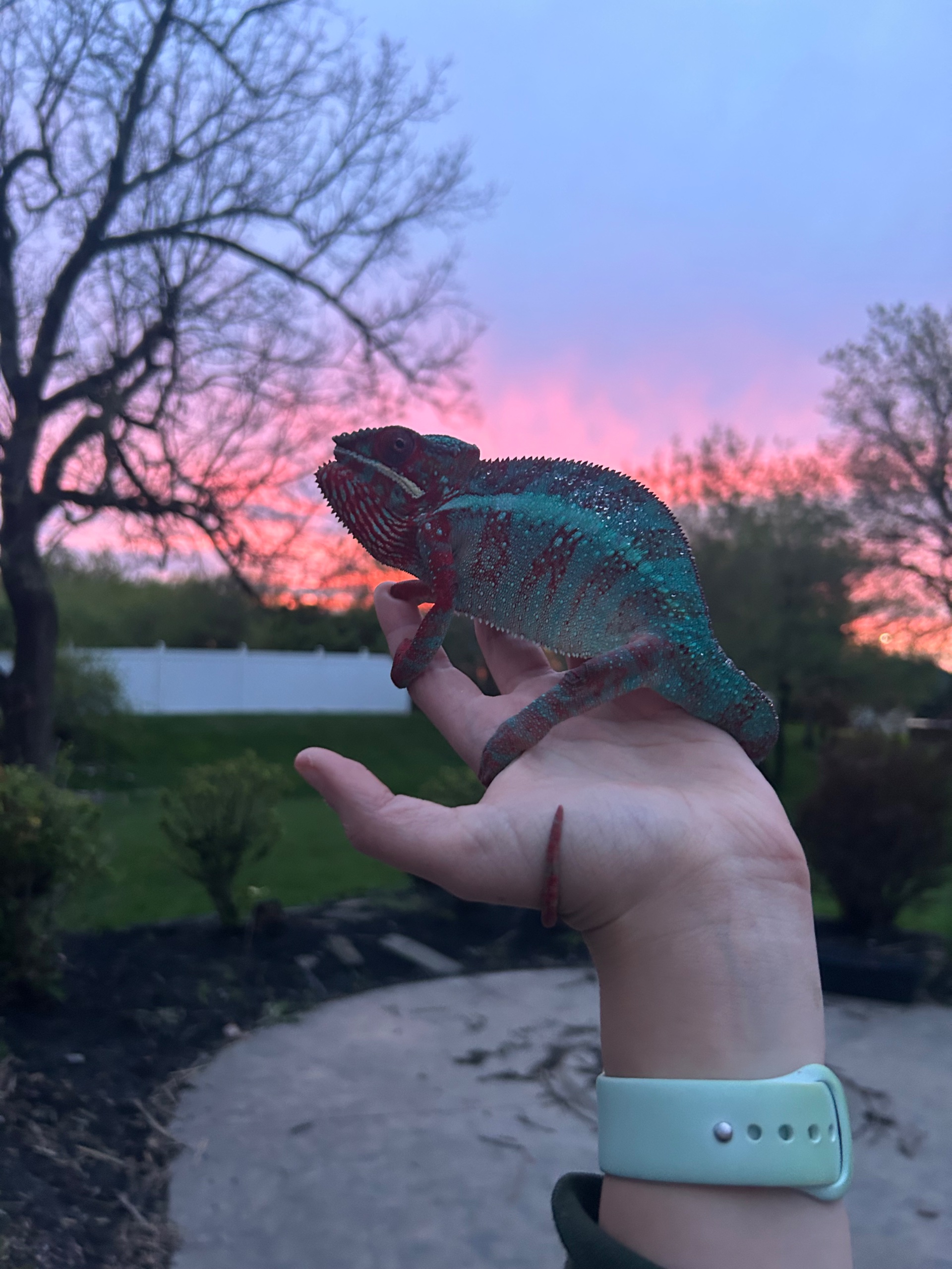 Grumpy boy at sunset