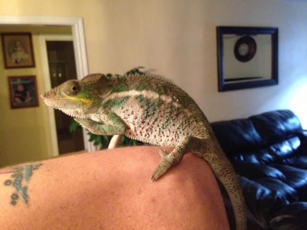 Hades/slash boy I produced.