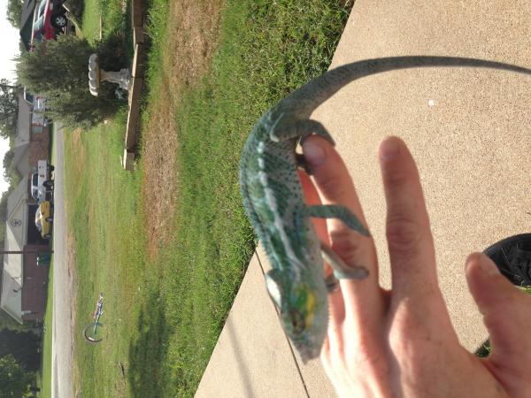 Hades/slash boy I produced.