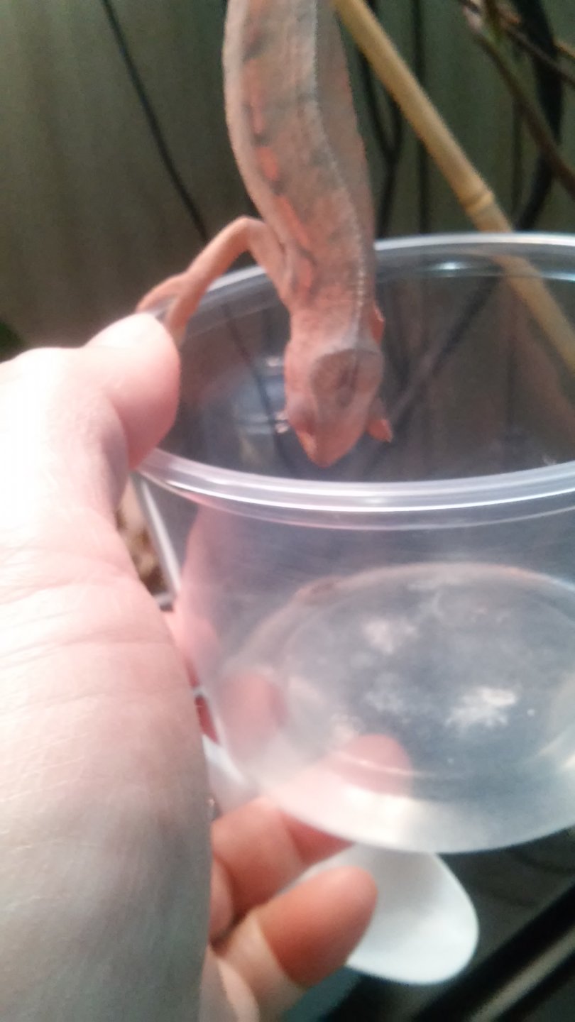 hand held cup feeding