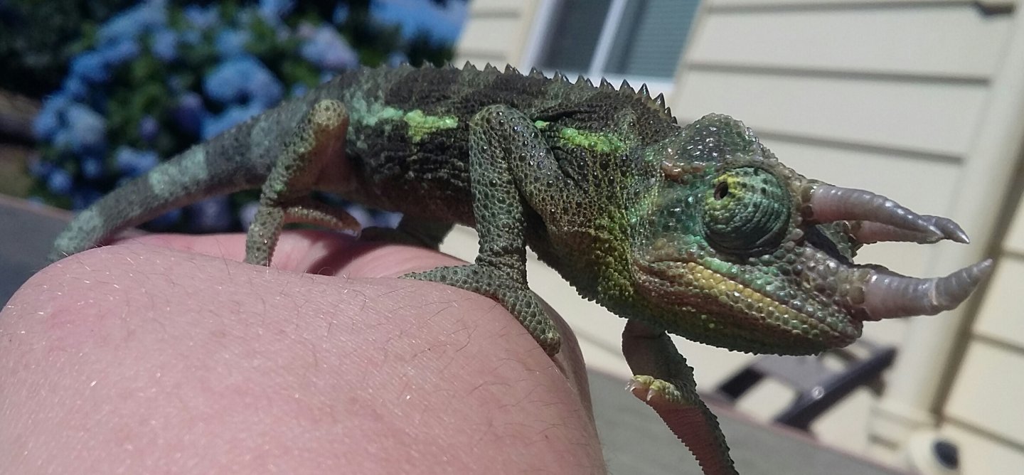 handsome boy walking on his mama