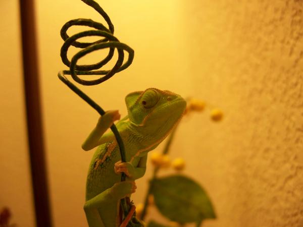 Hangin, what are YOU doin?