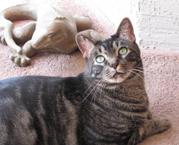 Hangin' with his friend.