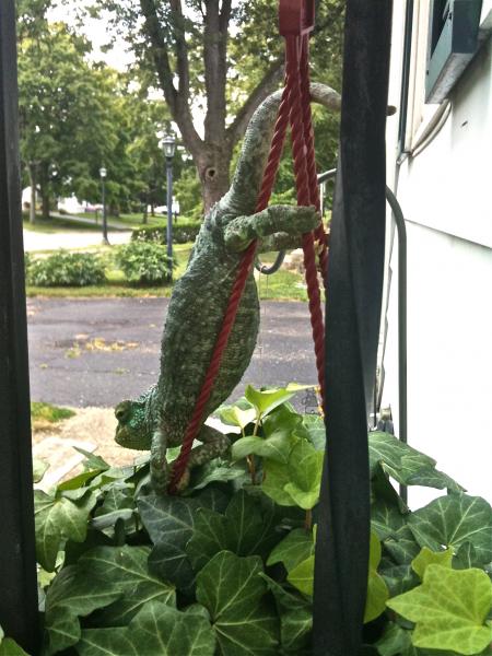 hanging astrid planter 2