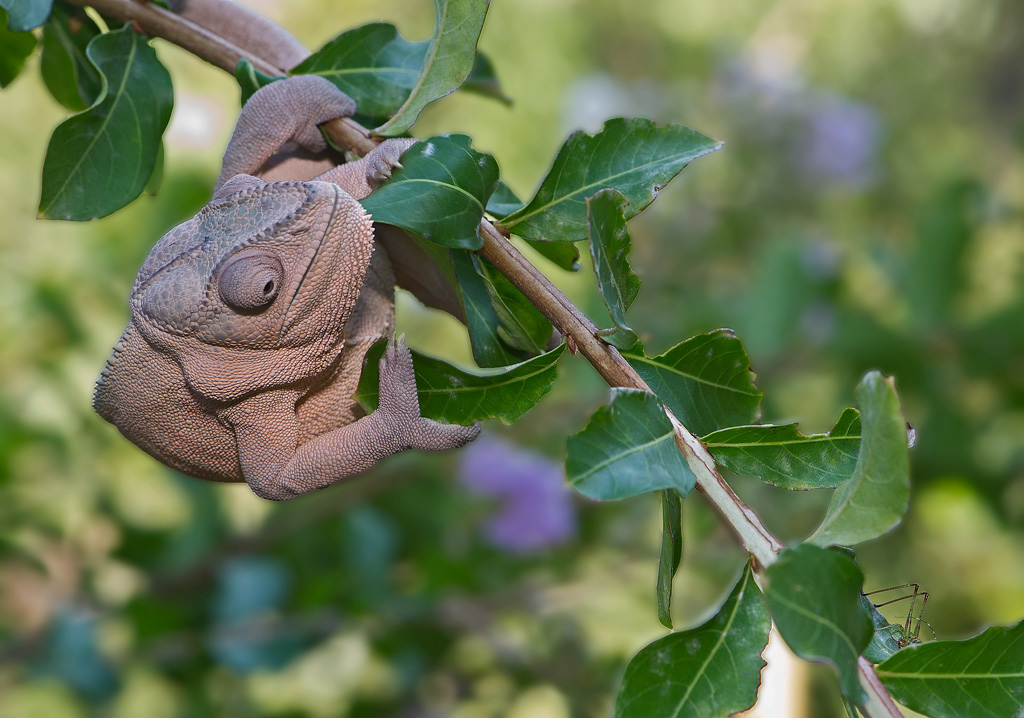 Hanging In There