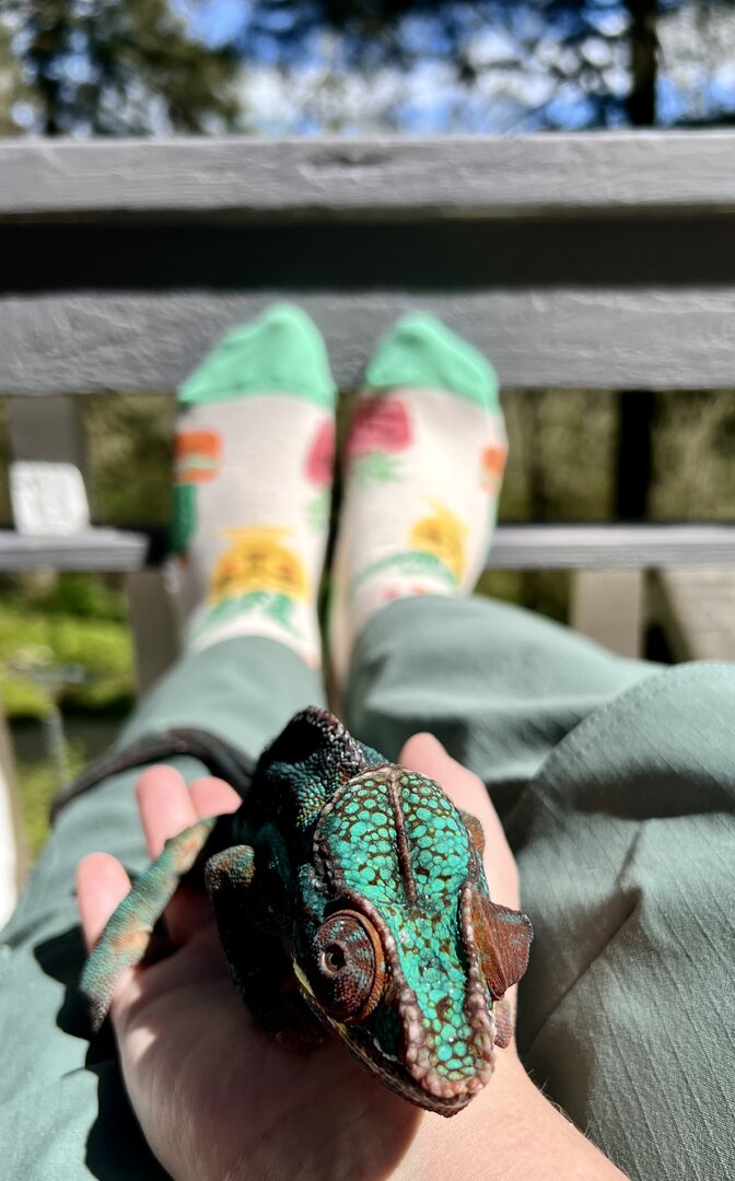 hanging on the deck