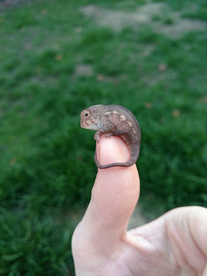 Hanging out on finger