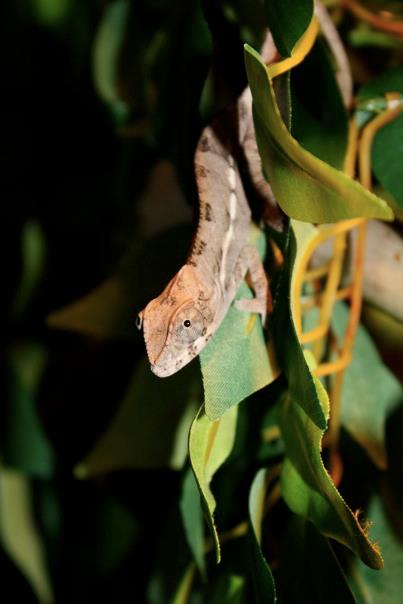Hanging Out