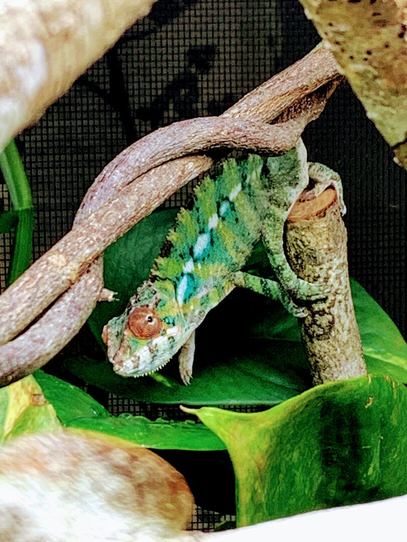 Hanging out