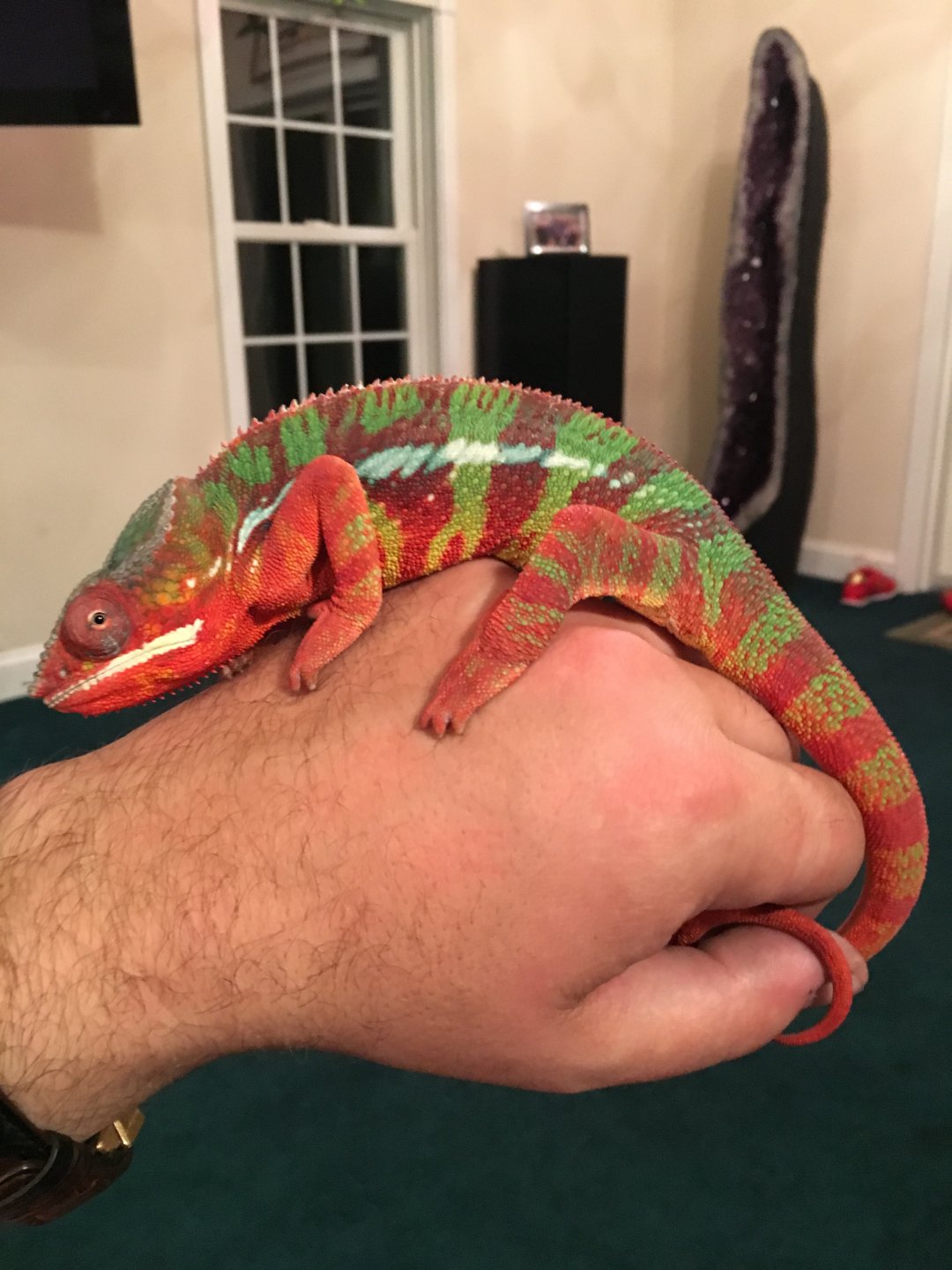 He’ll fall asleep like this sometimes