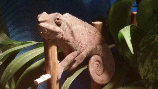 He gets more adorable every day