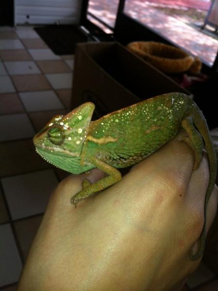 He has a water crown