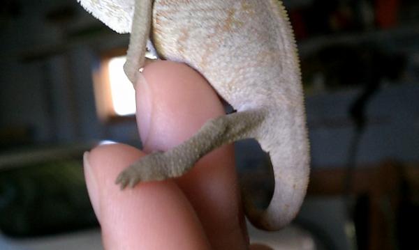 He is a boy, right?!
