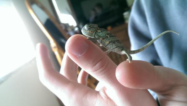 He looks so small in my brothers hands.