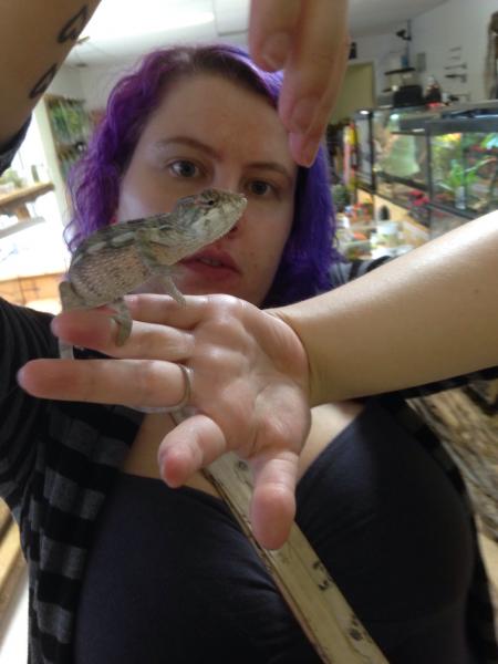 He loves to climb, he will go from on hand to the next, higher the better