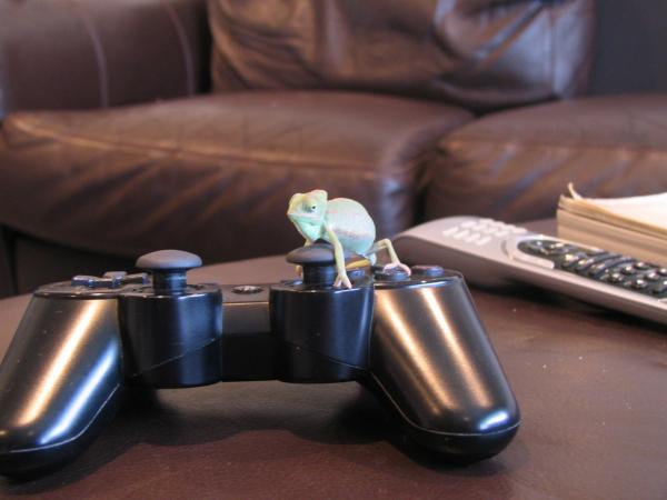He really loves his video games.