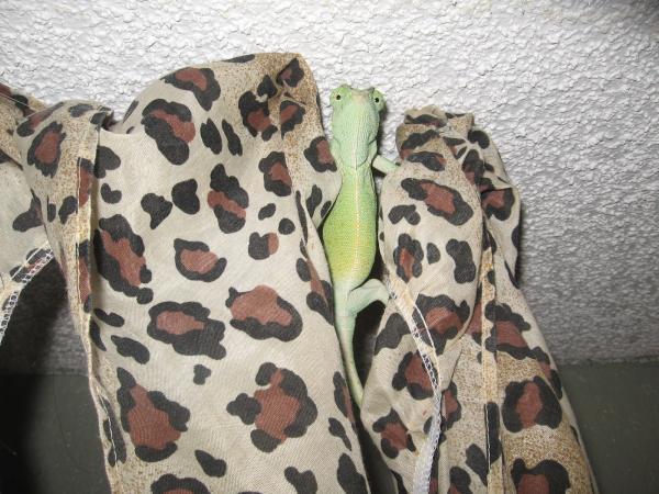 he thinks he is spider man!