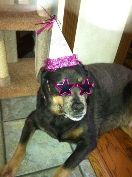 he wanted his shades!