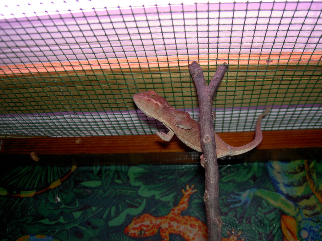 He was playing Peek-a-Boo