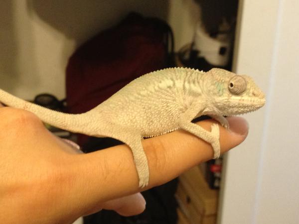 He was so tiny :)