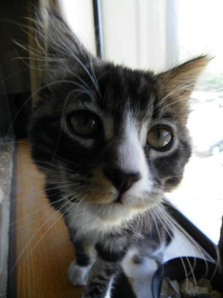 he was very interested in the camera!