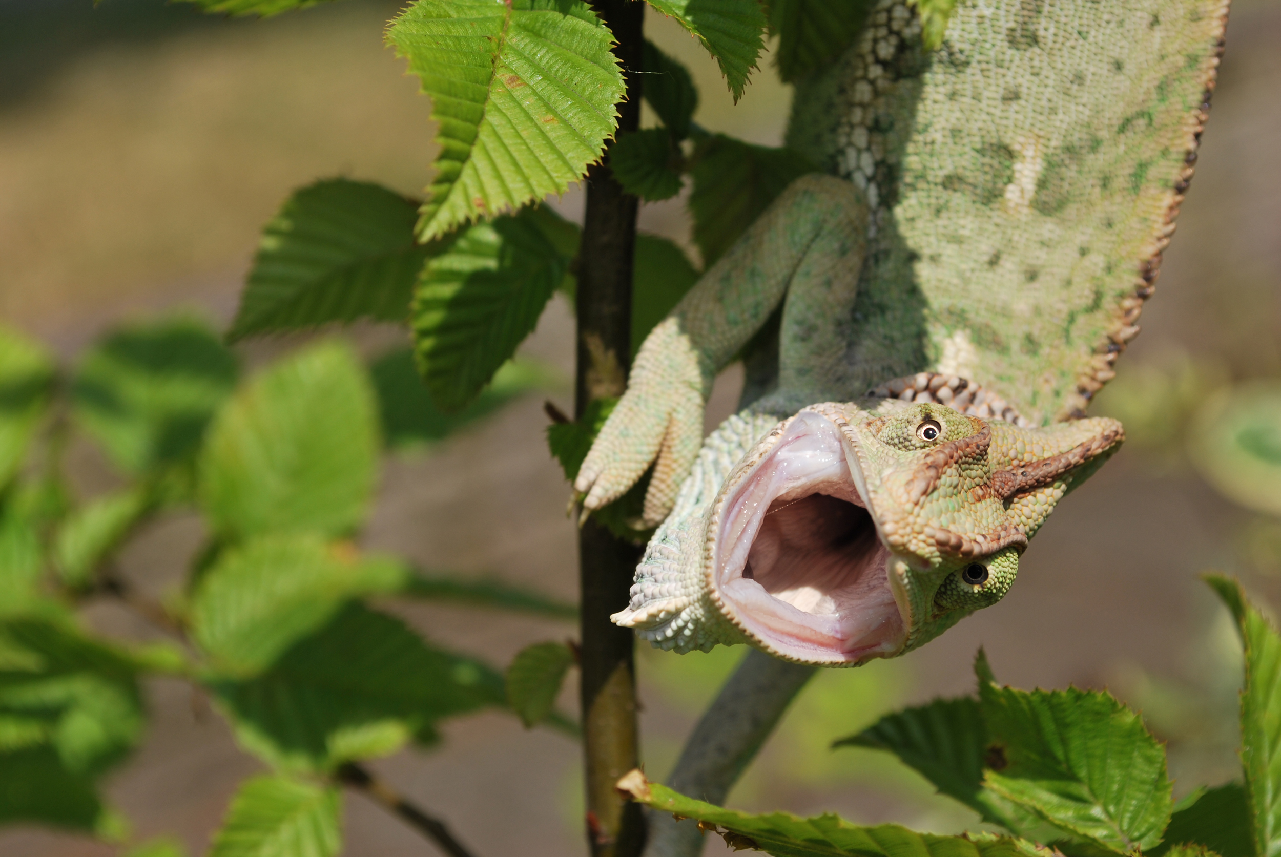 Hell Hath No Fury Like A Womans Scorned