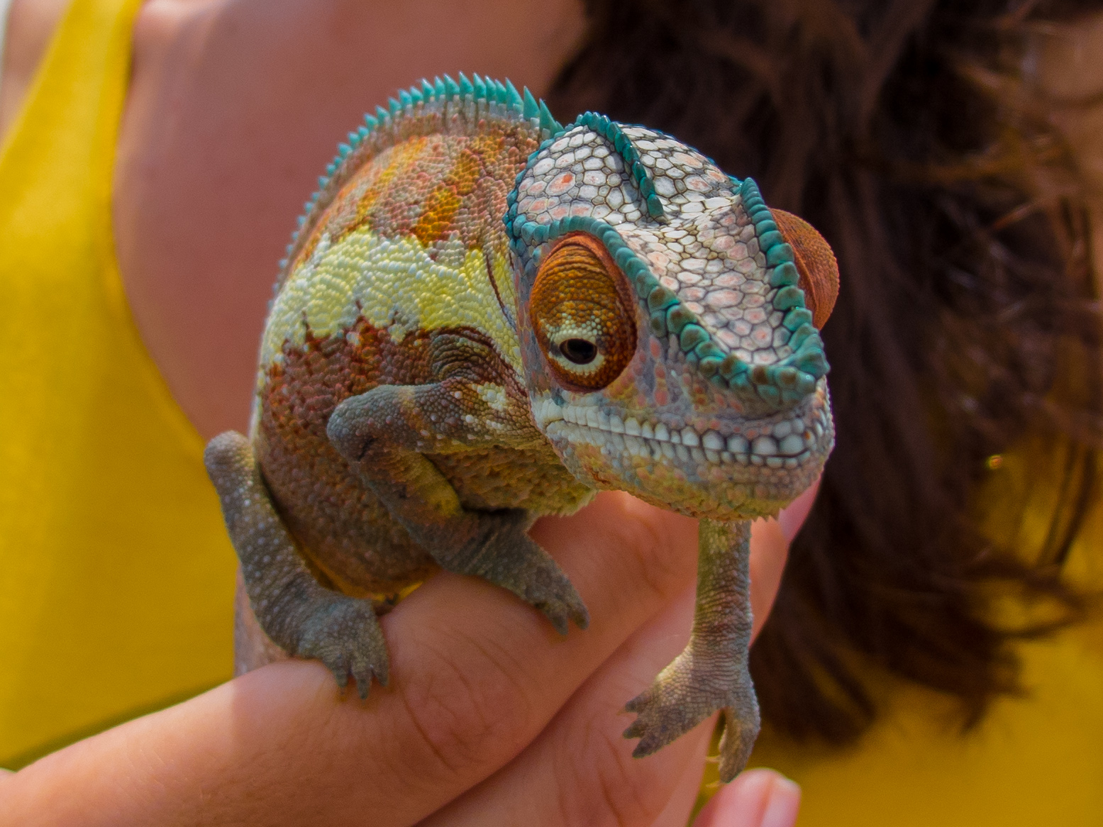 Helping Him To Cross The Road