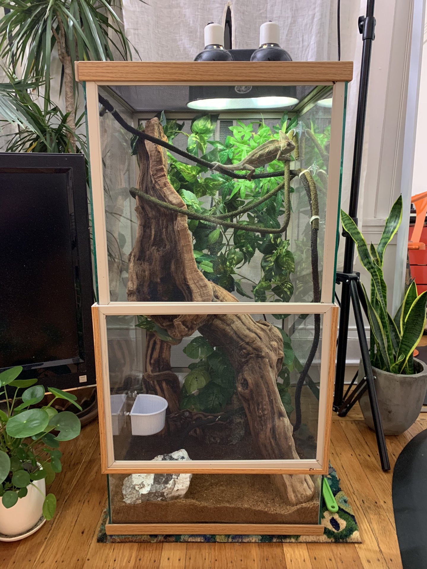 Henry’s new pad