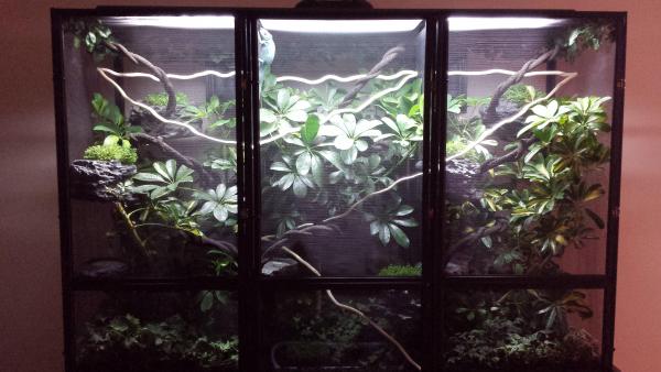 Here is the new set-up...as you can see Morpheus is still getting used to it :p