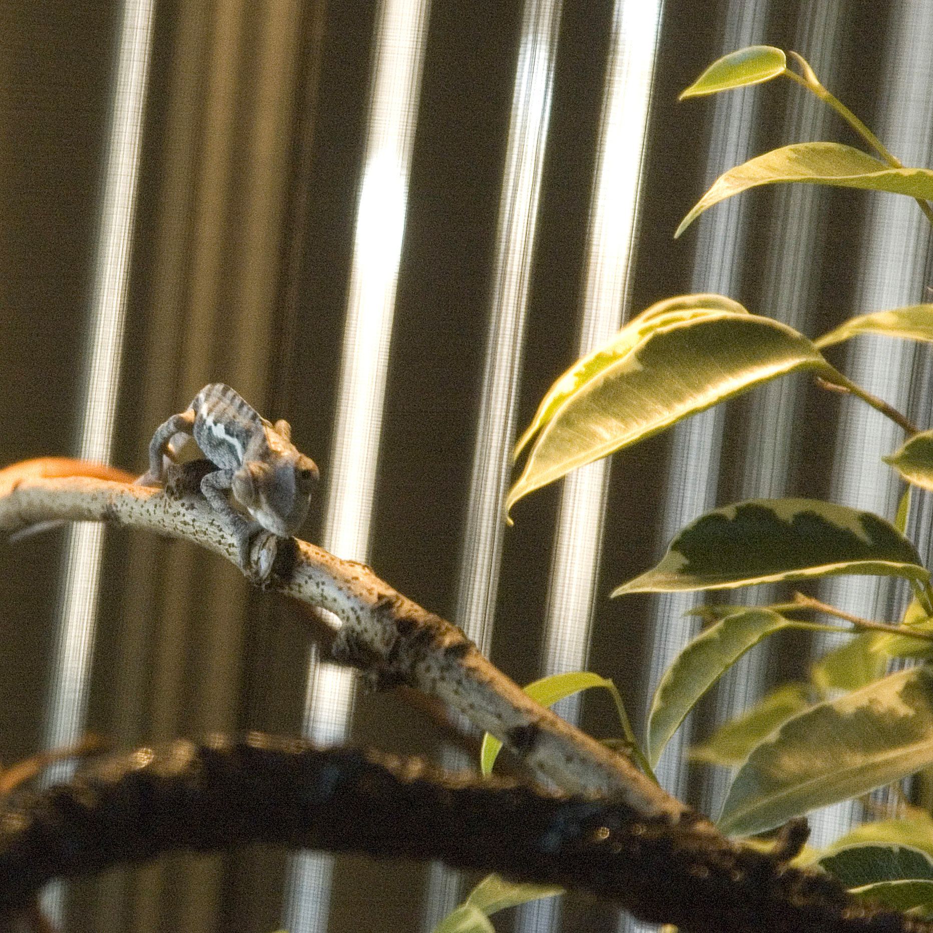 Here's lookin' at you.