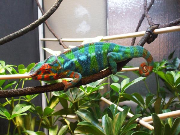 Hermes ~  Dec 4, 2011