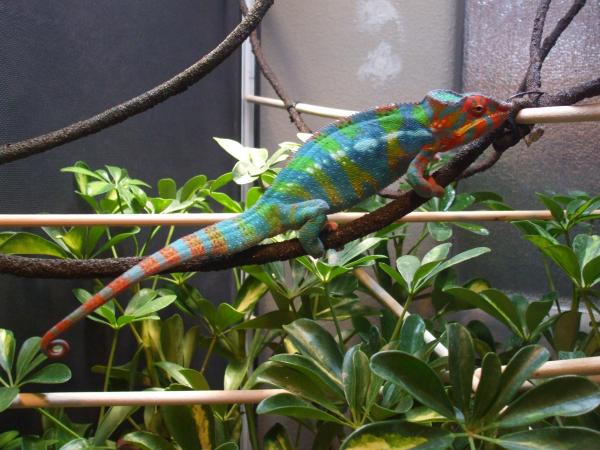 Hermes ~  Dec 5, 2011