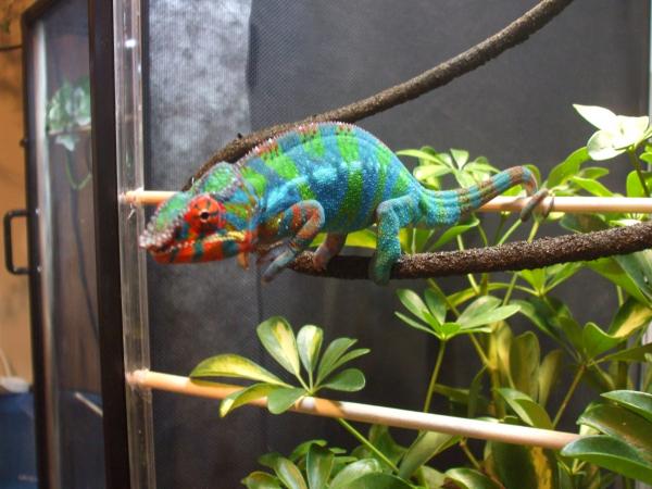 Hermes ~  Dec 5, 2011