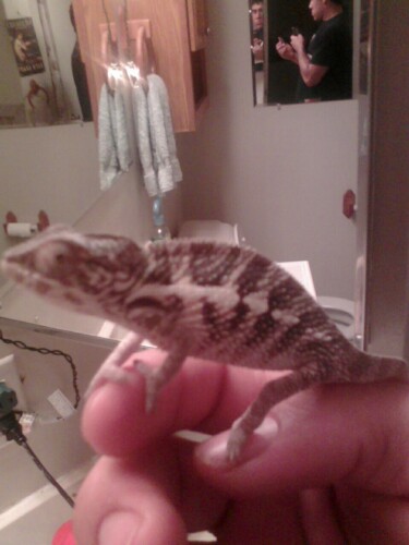 hes just a lil guy