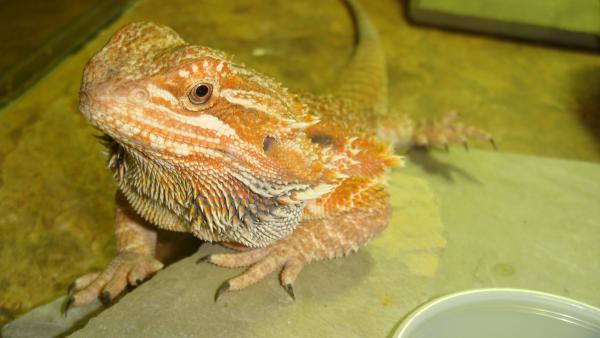 hey good lookin!!