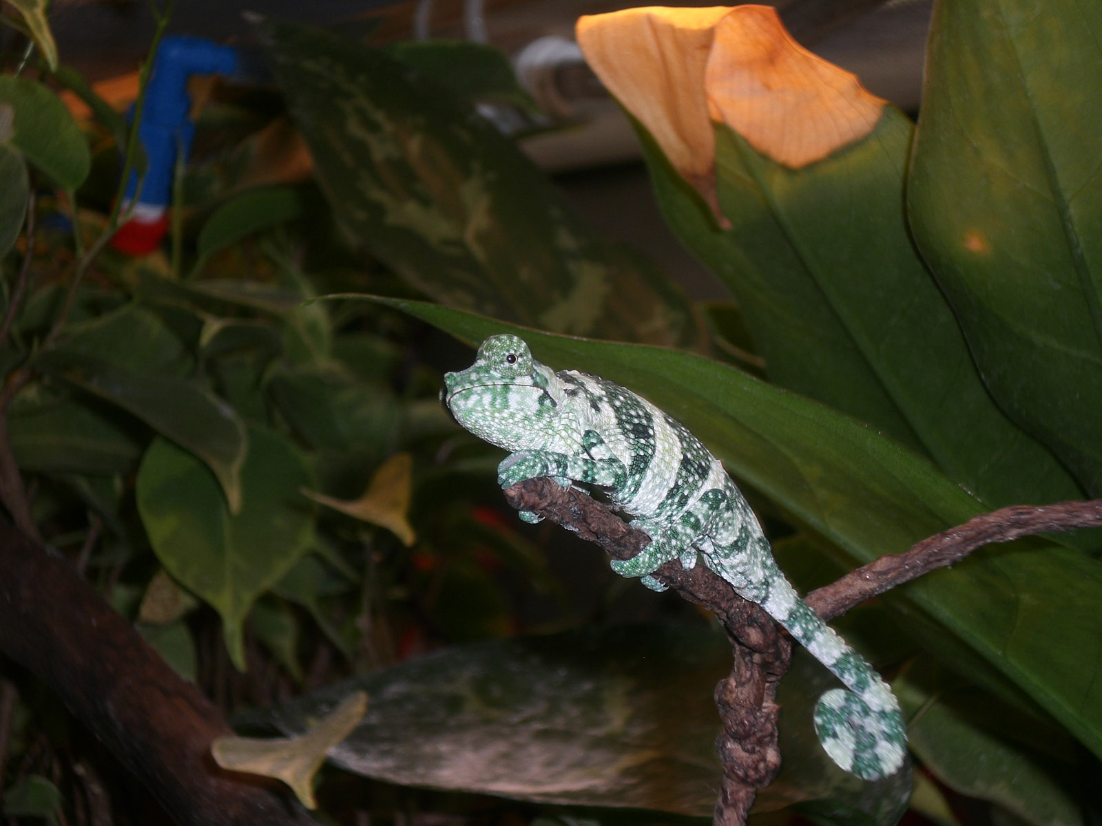 Hey! You're blocking the view, dude