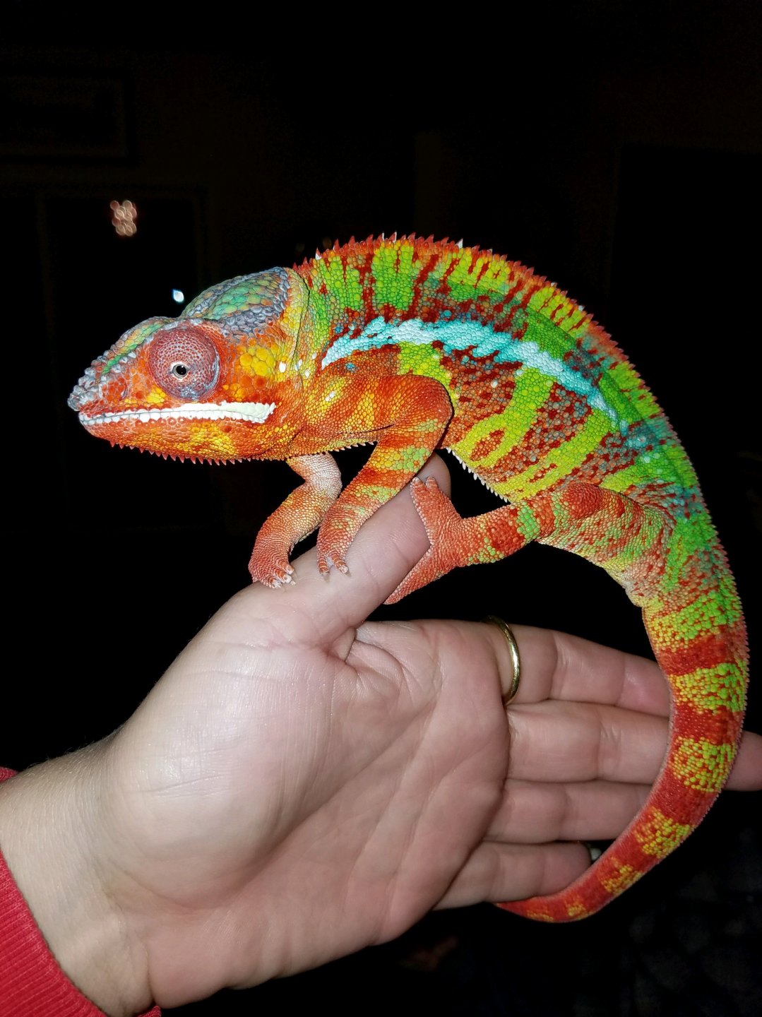 Hi my names galaxy Breslin. People call me galaxy Breslin.