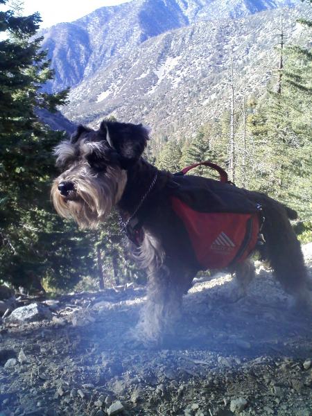 hiking