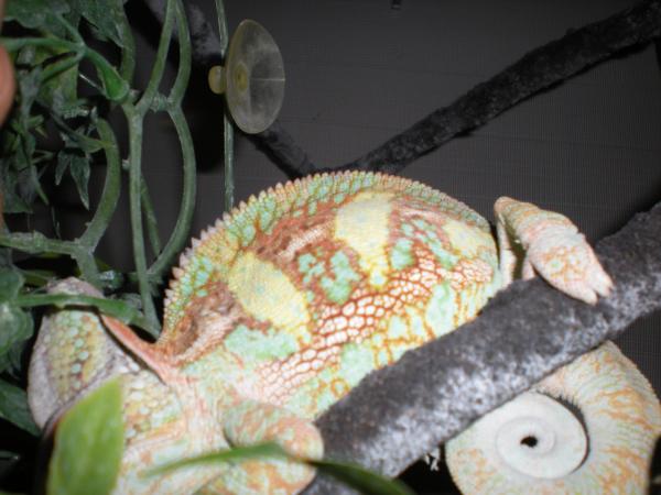 Him sleeping at about 7-8 months old