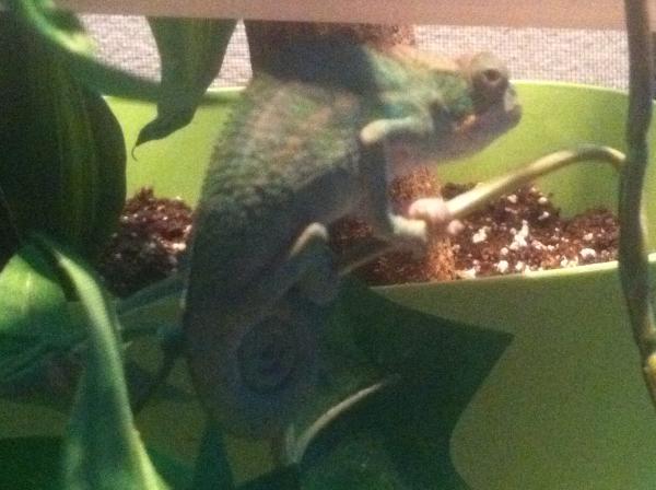 His absolute favorite place to sleep way at the bottom