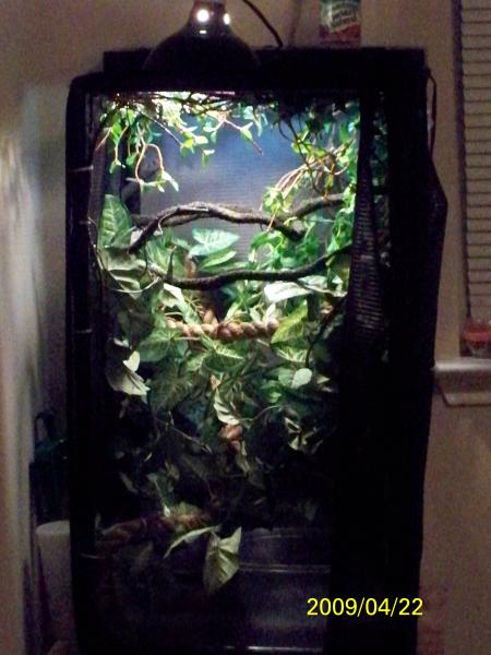 HIS CAGE