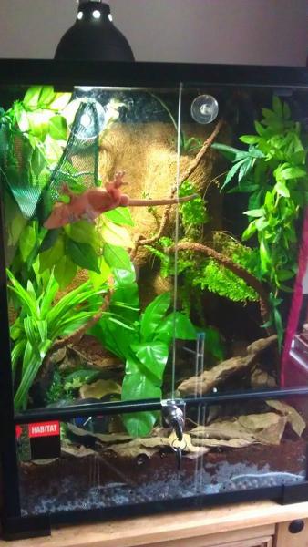 His home
