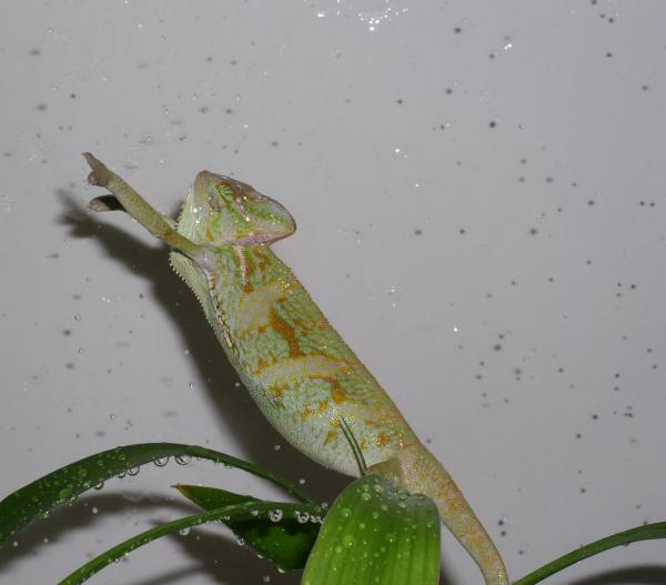 "Hit me baby one more time!!!"