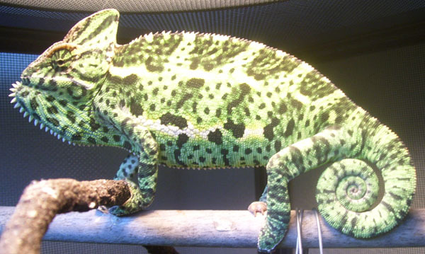 Holy Cow!!! Look at those colors!