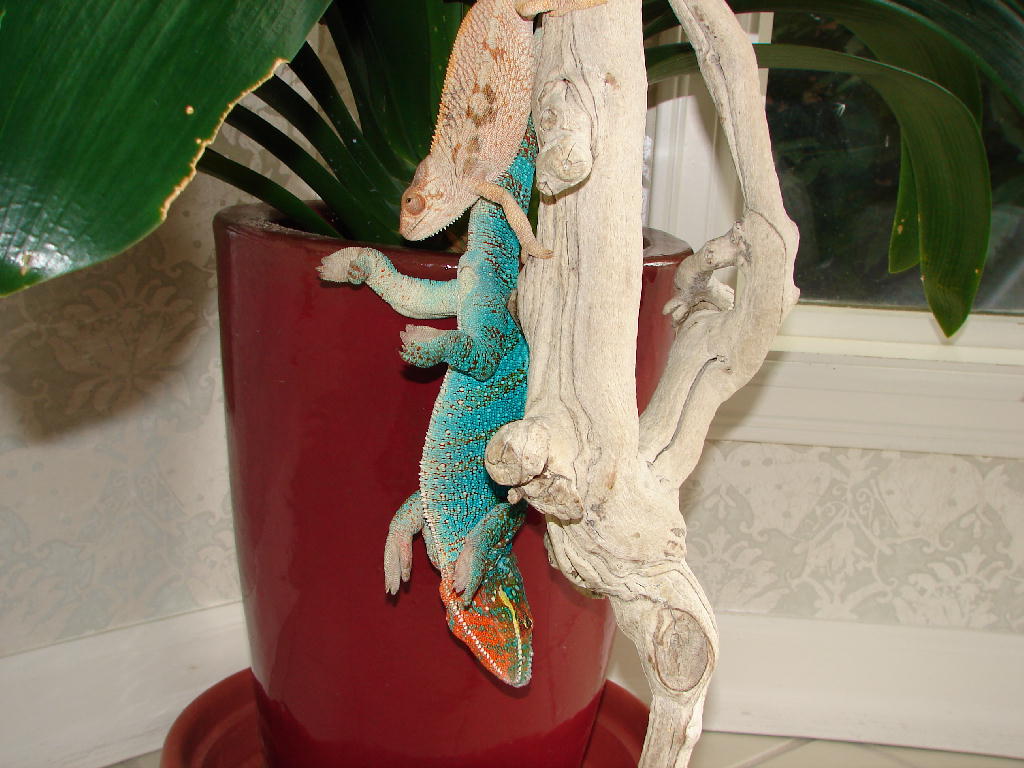 Houston, We Have a Problem!