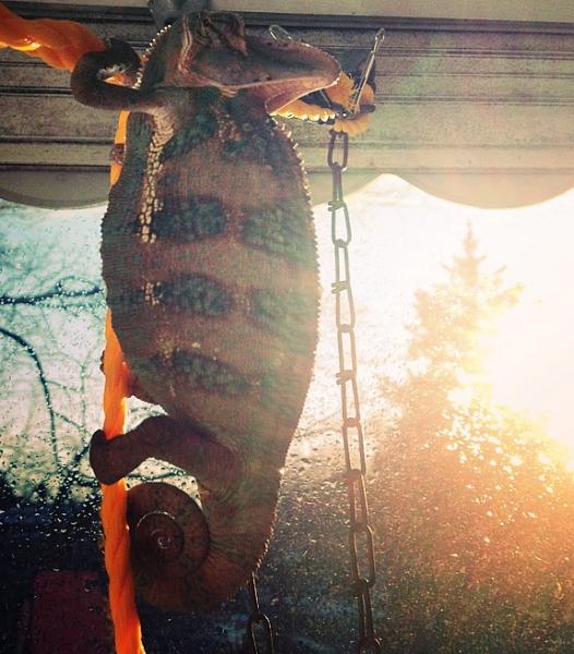 How about getting a little sun tanning?