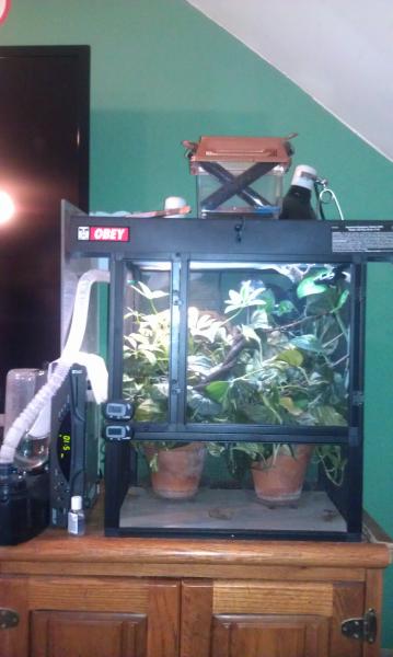 How his baby cage is currently set up